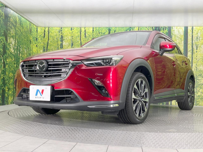 2018 Mazda CX-3 3DA-DK8FW (UW-6a3c9b3e95833)[20]