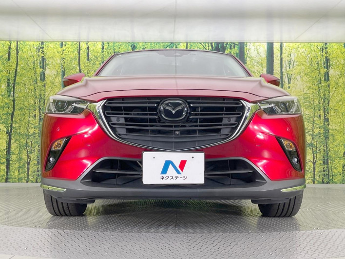2018 Mazda CX-3 3DA-DK8FW (UW-6a3c9b3e95833)[18]