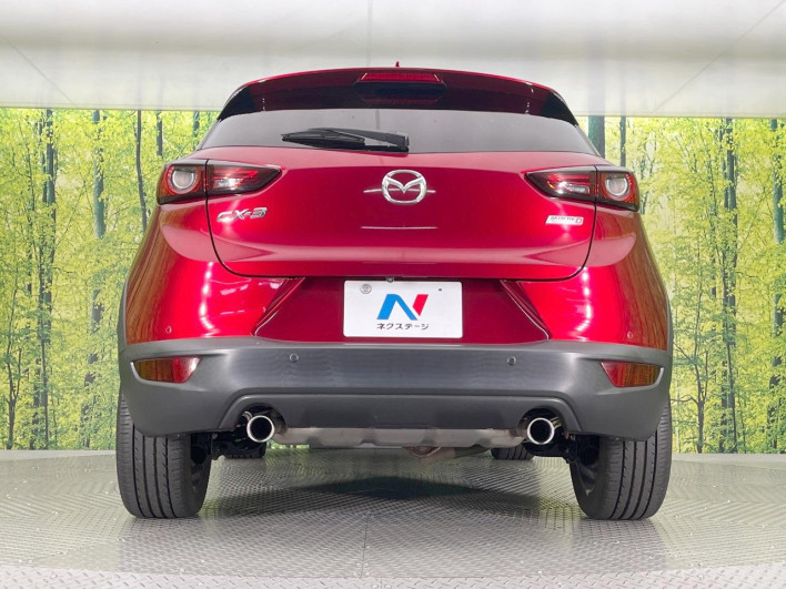 2018 Mazda CX-3 3DA-DK8FW (UW-6a3c9b3e95833)[23]