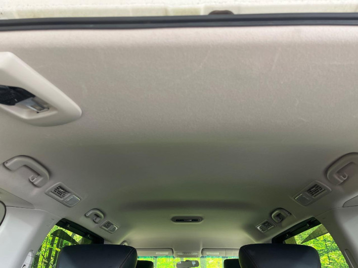 2013 Nissan Elgrand DBA-TE52 (UW-6a3c9cca9e9cc)[28]
