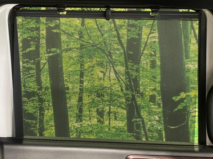 2019 Honda N-BOX CUSTOM DBA-JF4 (UW-6a41e19ad40fd)[28]