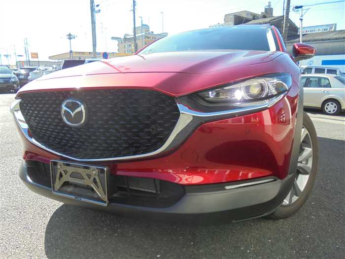 2022 Mazda Mazda Others 5AA-DMEJ3P